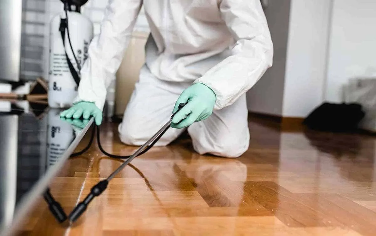 Tratamiento contra cucarachas en una vivienda de Gran Canaria