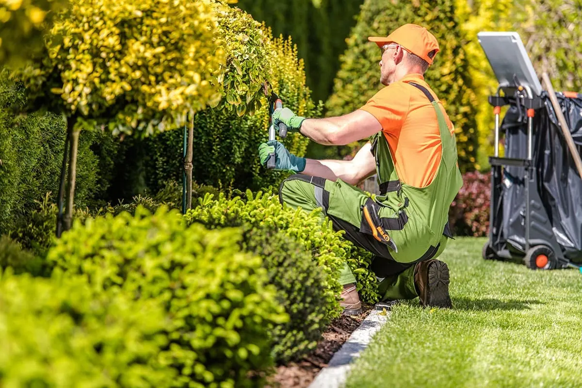Jardinero de Top Solution realizando el mantenimiento de un jardín en Gran Canaria