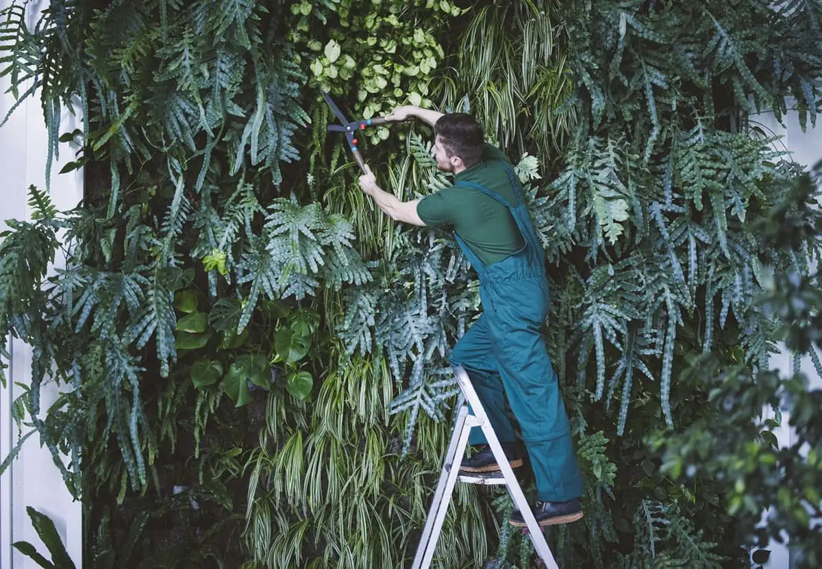 Jardinero cuidando los arbustos de una zona verde en Málaga