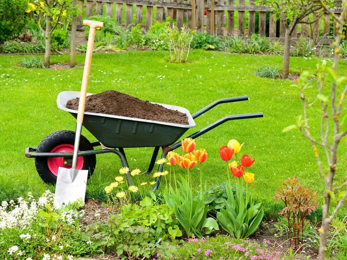 Jardinero trabajando en los macizos de un jardín de vivienda unifamiliar