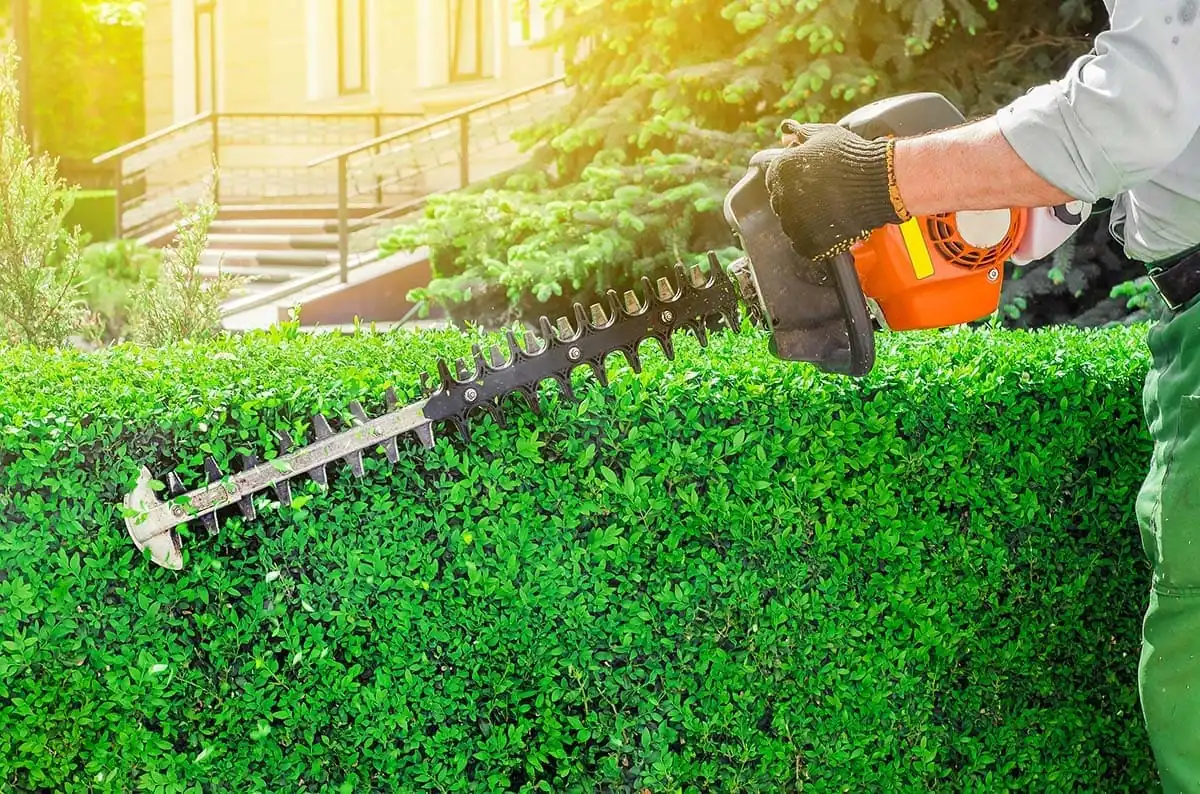 Jardinero terminando una jornada de trabajo en un jardín de Málaga