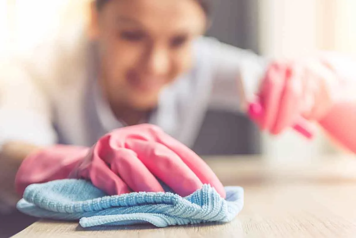 Profesional de la limpieza en plena faena dentro de una casa