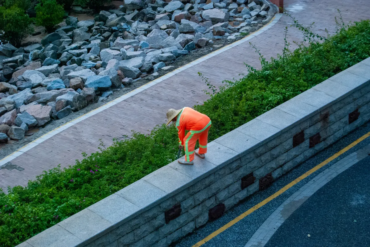 Jardinero con uniforme naranja cuidando plantas en un muro de piedra de un parque
